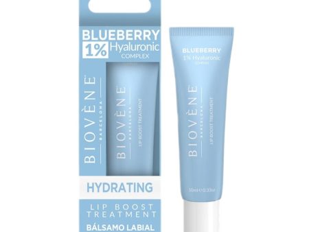 Blueberry Lip Boost Treatment nawilżające serum do ust z 1% kwasu hialuronowego 10ml Discount